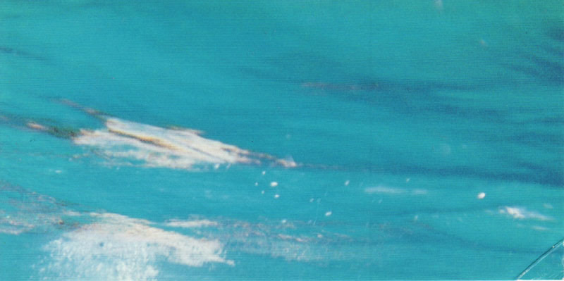 katrin_jaquet_en_apnée_5